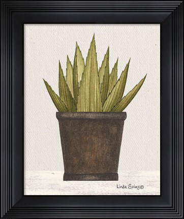 Framed Potted Aloe Vera Print