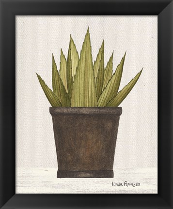 Framed Potted Aloe Vera Print