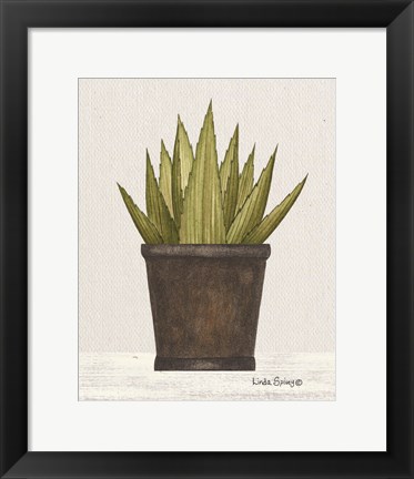 Framed Potted Aloe Vera Print