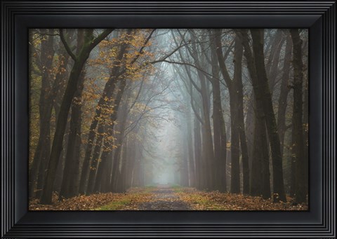 Framed Moody Autumn Print