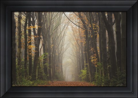 Framed Unknown Road Print
