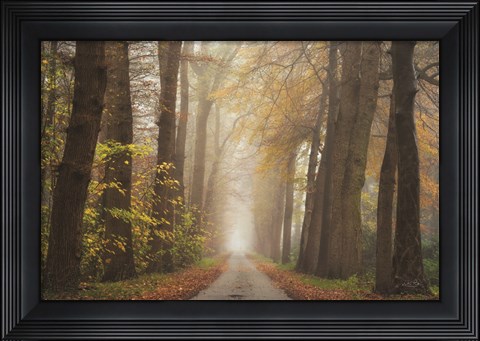 Framed Autumnal Moodiness Print