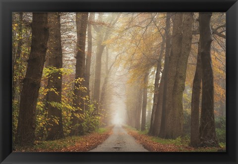 Framed Autumnal Moodiness Print