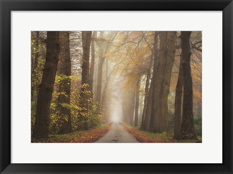 Framed Autumnal Moodiness Print