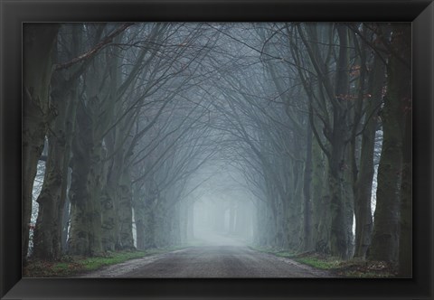 Framed Old Beeches Print