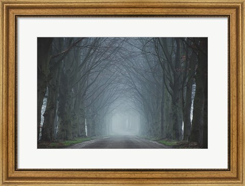 Framed Old Beeches Print
