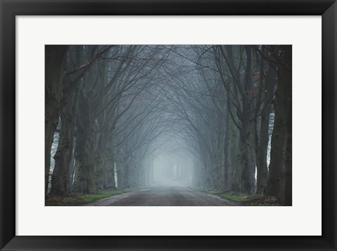 Framed Old Beeches Print