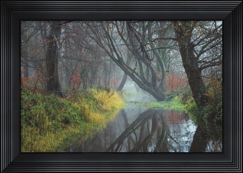 Framed Creek Print