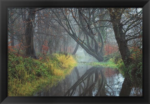 Framed Creek Print