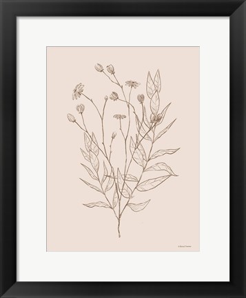 Framed Wildflower Drawing Print