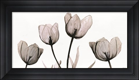 Framed Floral Simplicity Print