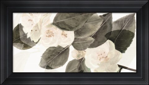Framed White Beauty Print