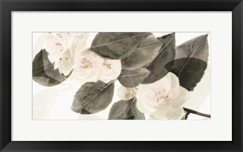 Framed White Beauty Print