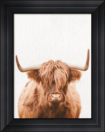 Framed Cow Portrait Print