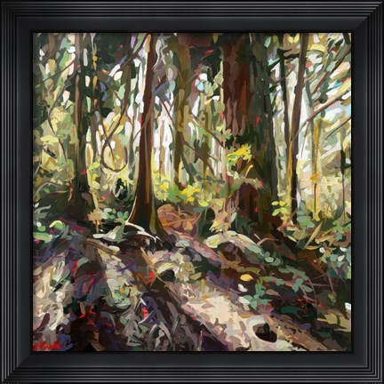 Framed Cedar Shadows Print