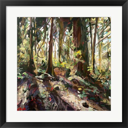 Framed Cedar Shadows Print