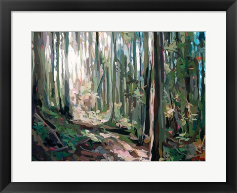 Framed Forest Light Print