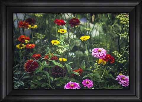 Framed Secret Gardens Print
