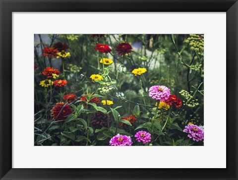 Framed Secret Gardens Print