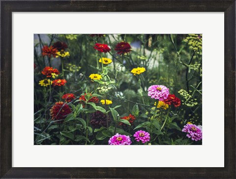 Framed Secret Gardens Print