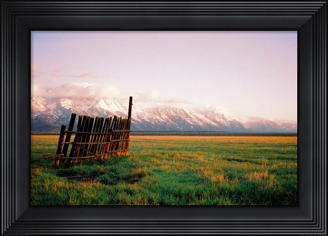 Framed Fence In Jackson Print