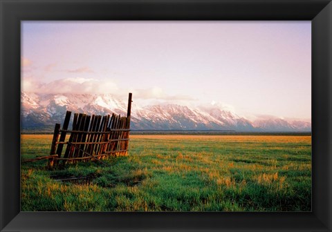 Framed Fence In Jackson Print