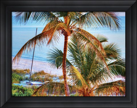 Framed Colors of Florida Print