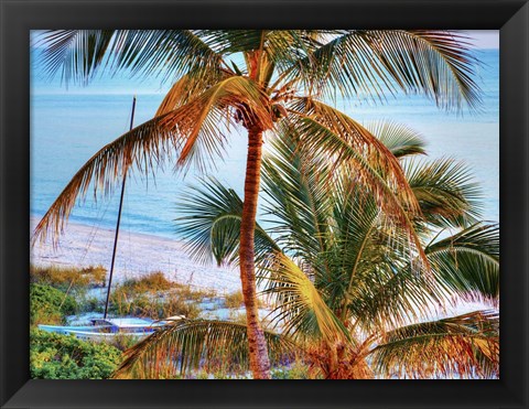 Framed Colors of Florida Print