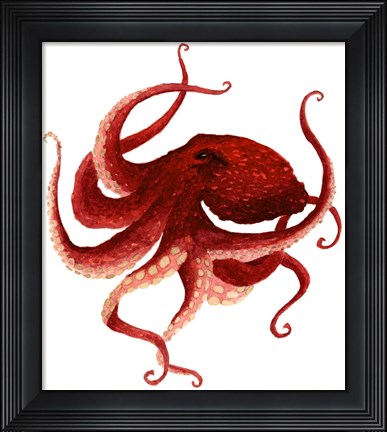 Framed Giant Pacific Octopus - Red Print