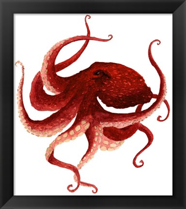 Framed Giant Pacific Octopus - Red Print