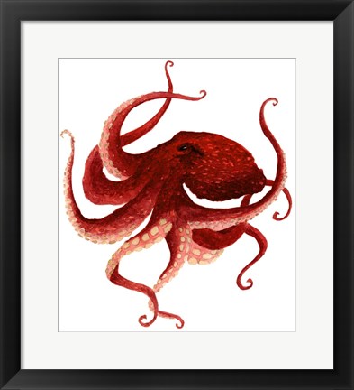 Framed Giant Pacific Octopus - Red Print