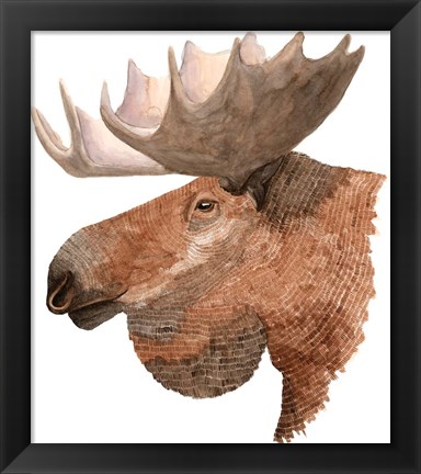 Framed Moose Print