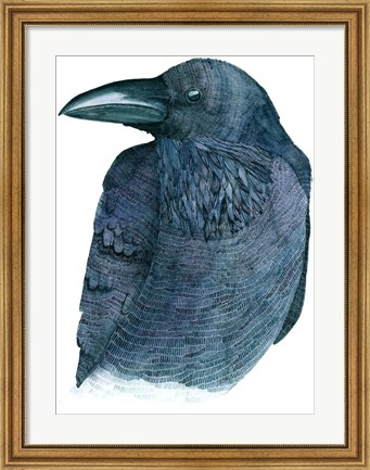 Framed Raven Print