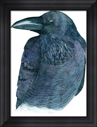 Framed Raven Print