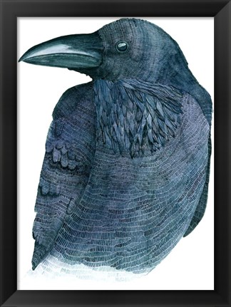 Framed Raven Print