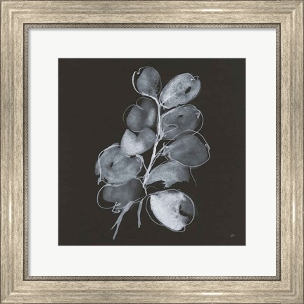 Framed White Eucalyptus II Print