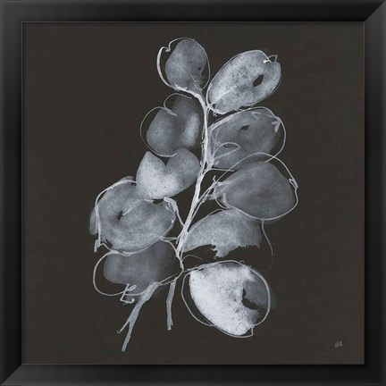 Framed White Eucalyptus II Print