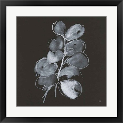 Framed White Eucalyptus II Print