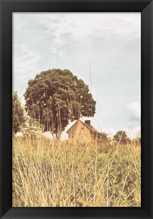 Framed Grass and Sky Light Print