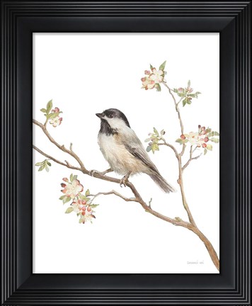 Framed Black Capped Chickadee v2 on White Print