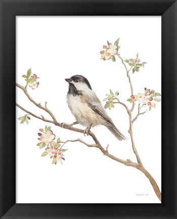 Framed Black Capped Chickadee v2 on White Print