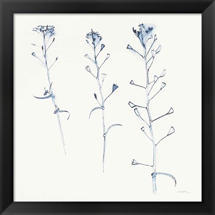 Framed Shepherds Purse Stems I Blue Print