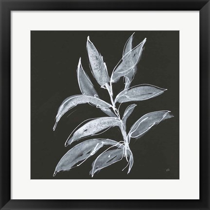 Framed Branch IV Print