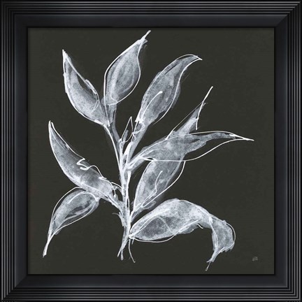 Framed Branch III Print