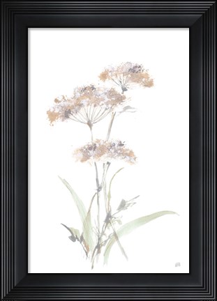 Framed Tall Queen Annes Lace IV Print