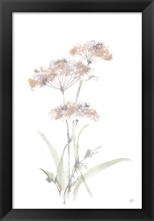 Framed Tall Queen Annes Lace IV Print