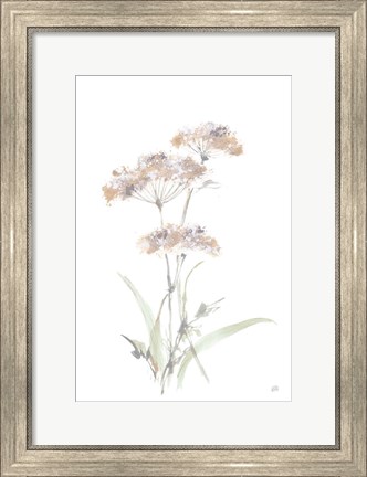 Framed Tall Queen Annes Lace IV Print