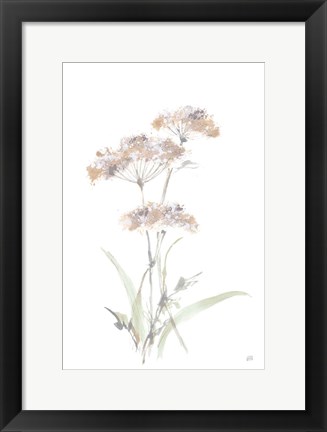 Framed Tall Queen Annes Lace IV Print