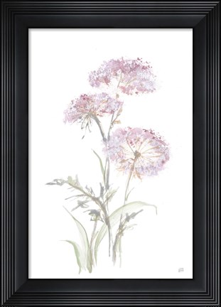 Framed Tall Queen Annes Lace III Print