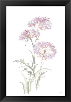 Framed Tall Queen Annes Lace III Print